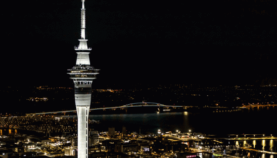 SkyTower at night.