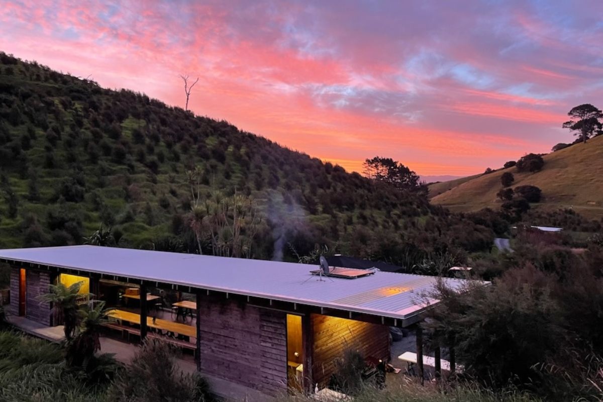 Kauri-Bay-Hero-Image-1 Kauri-Bay-Hero-Image-1