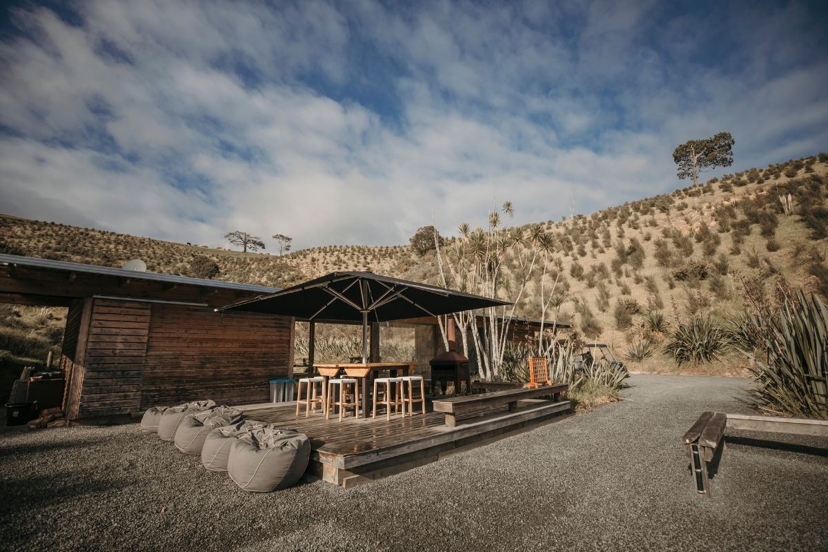 Kauri-Bay-Gallery-Image 3 Kauri-Bay-Gallery-Image 3