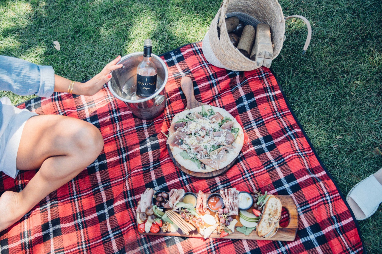 a charcuterie board, pizza and bottle on a red picnic blanket