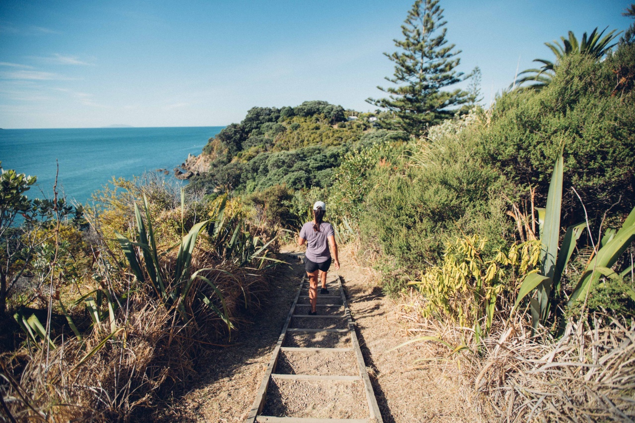 A woman walking down steps on a scenic walking trail at Oneroa Bay on Waiheke Island