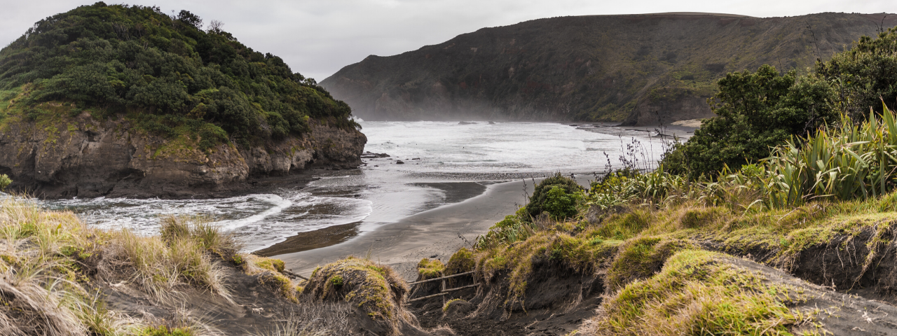 Te Henga - Bethells Beach
