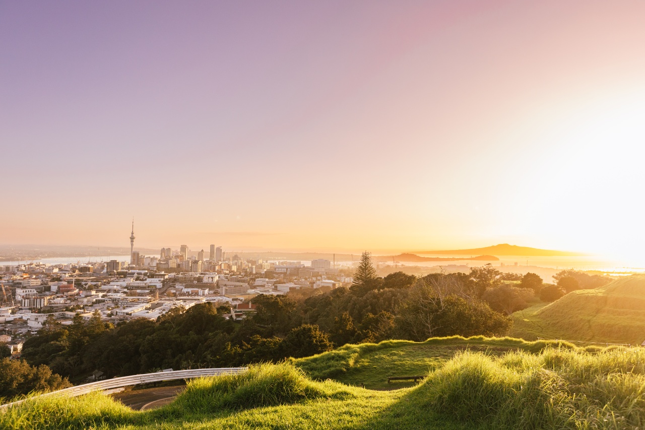 View of the city from Mount Eden