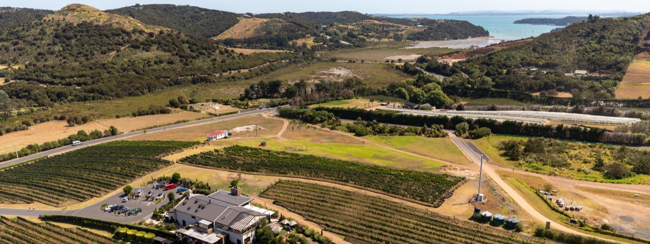 Waiheke Vineyard from above