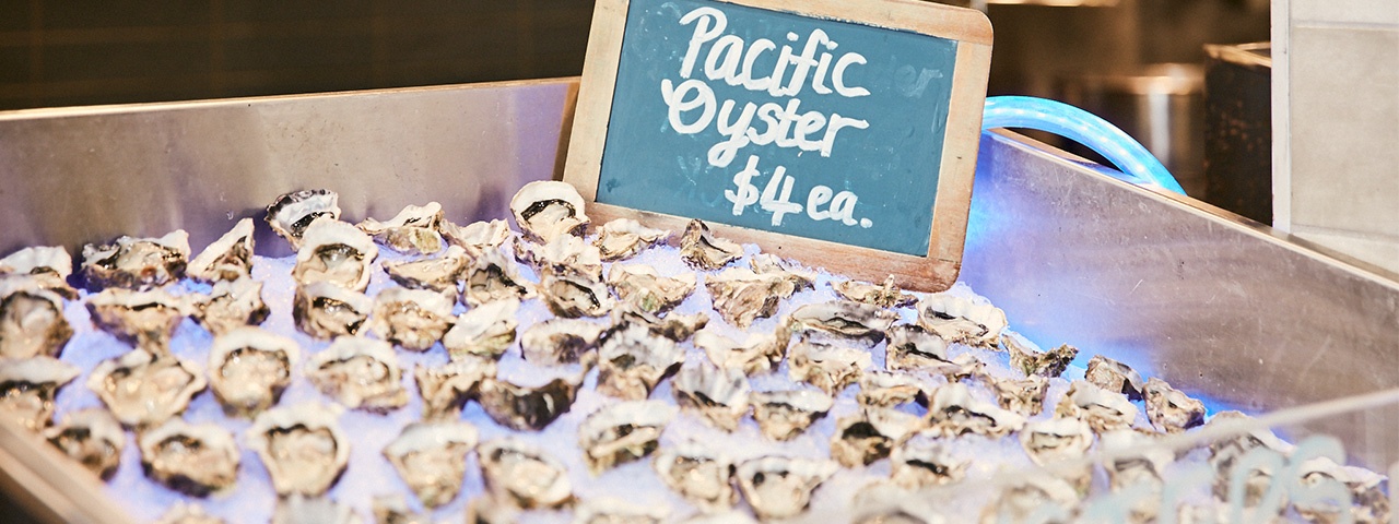 Fresh oysters