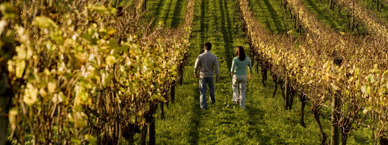 Visit Destinations East Coast Clevedon Visit Destinations East Coast Clevedon