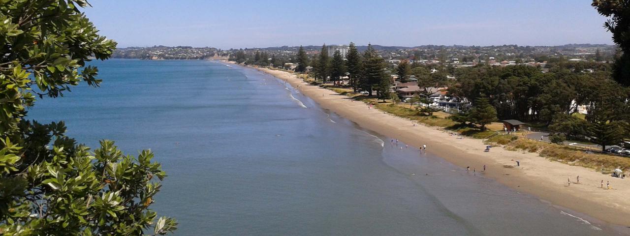 Aerial shot of beach 