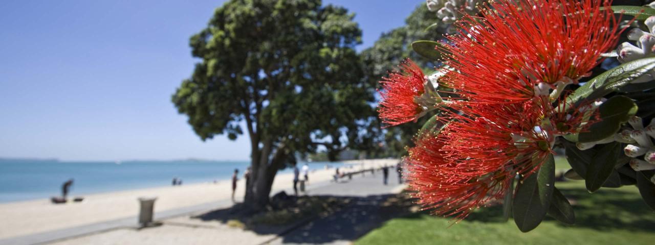 Visit discover beaches city