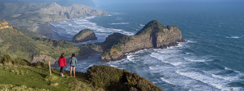 Auckland Visitor Survey (AVS) Insights Report