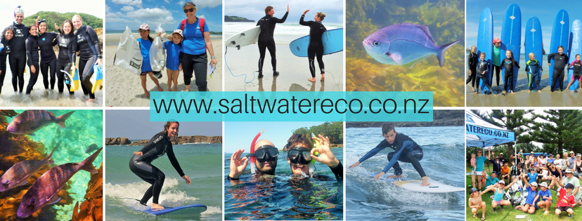 Saltwater Eco Snorkel School, Tawharanui Peninsula Photo of Saltwater Eco Snorkel School, Tawharanui Peninsula, Tawharanui Peninsula