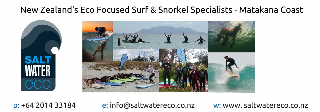 Saltwater Eco Snorkel School Photo of Saltwater Eco Snorkel School, Tawharanui Peninsula