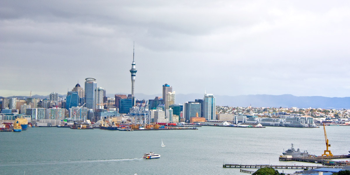 Photo of Bush and Beach Auckland City Revealed - Half Day Tour, Auckland CBD, Auckland Central