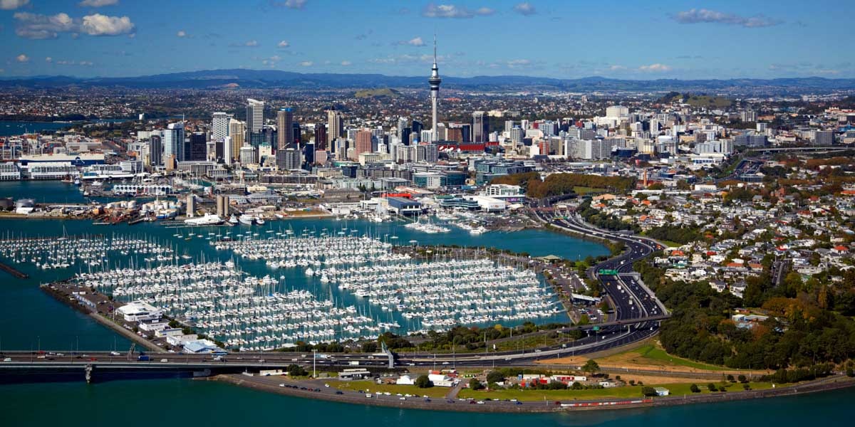 Photo of Bush and Beach Auckland City Revealed - Half Day Tour, Auckland CBD, Auckland Central