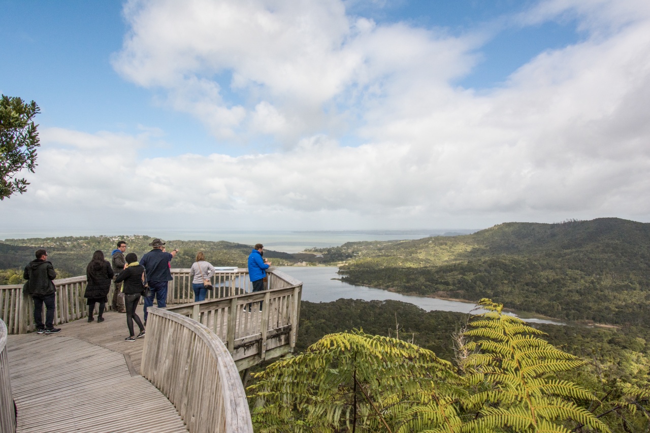 Photo of Bush and Beach Best of Both Worlds - Full Day Tour, Auckland CBD, Auckland Central