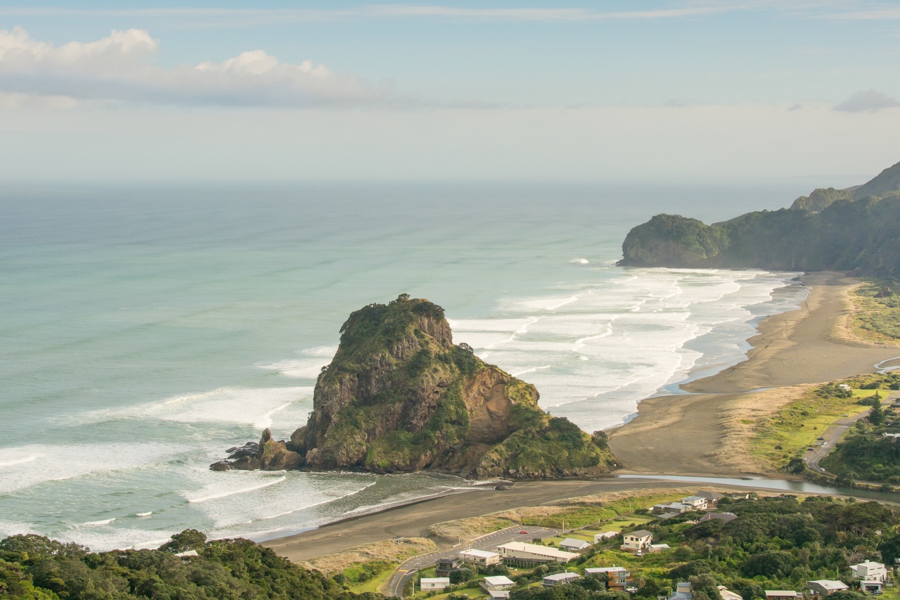 Photo of Bush and Beach Best of Both Worlds - Full Day Tour, Auckland CBD, Auckland Central