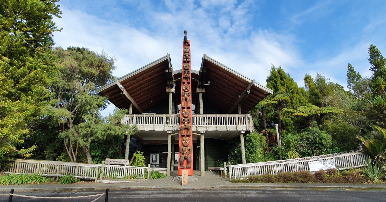 Photo of Bush and Beach Wilderness Experience - Half Day Tour, Auckland CBD, Auckland Central