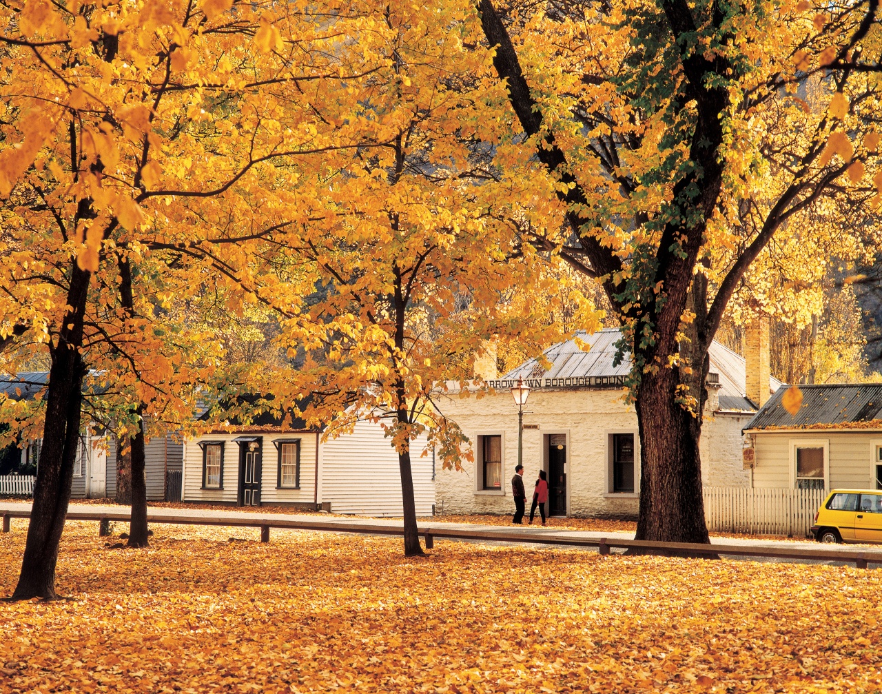 Photo of XperieNZ Limited, Forrest Hill, Forrest Hill