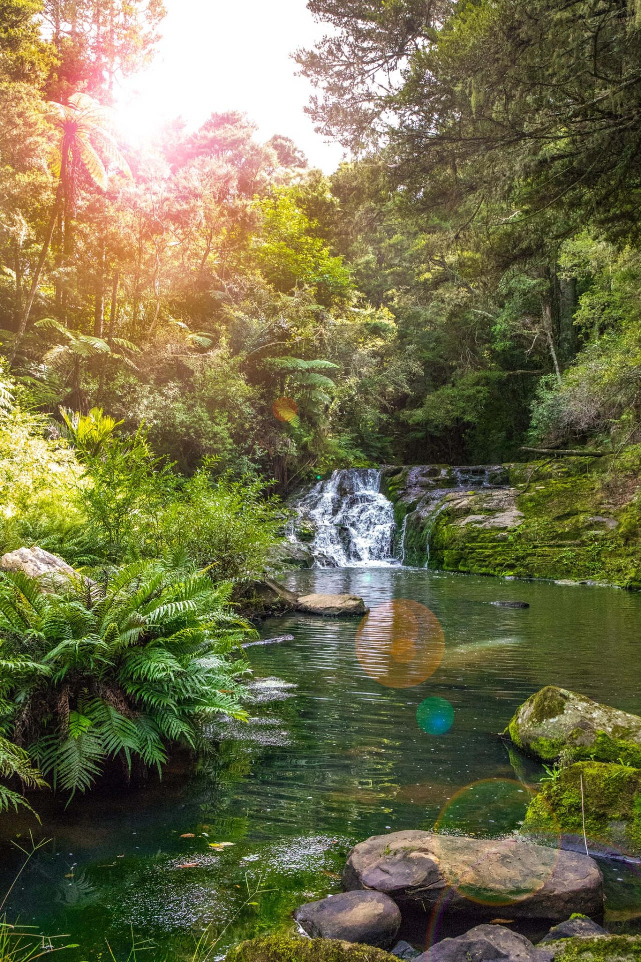 BeauRegard Accommodation Matakana Photo of BeauRegard Accommodation Matakana, Matakana