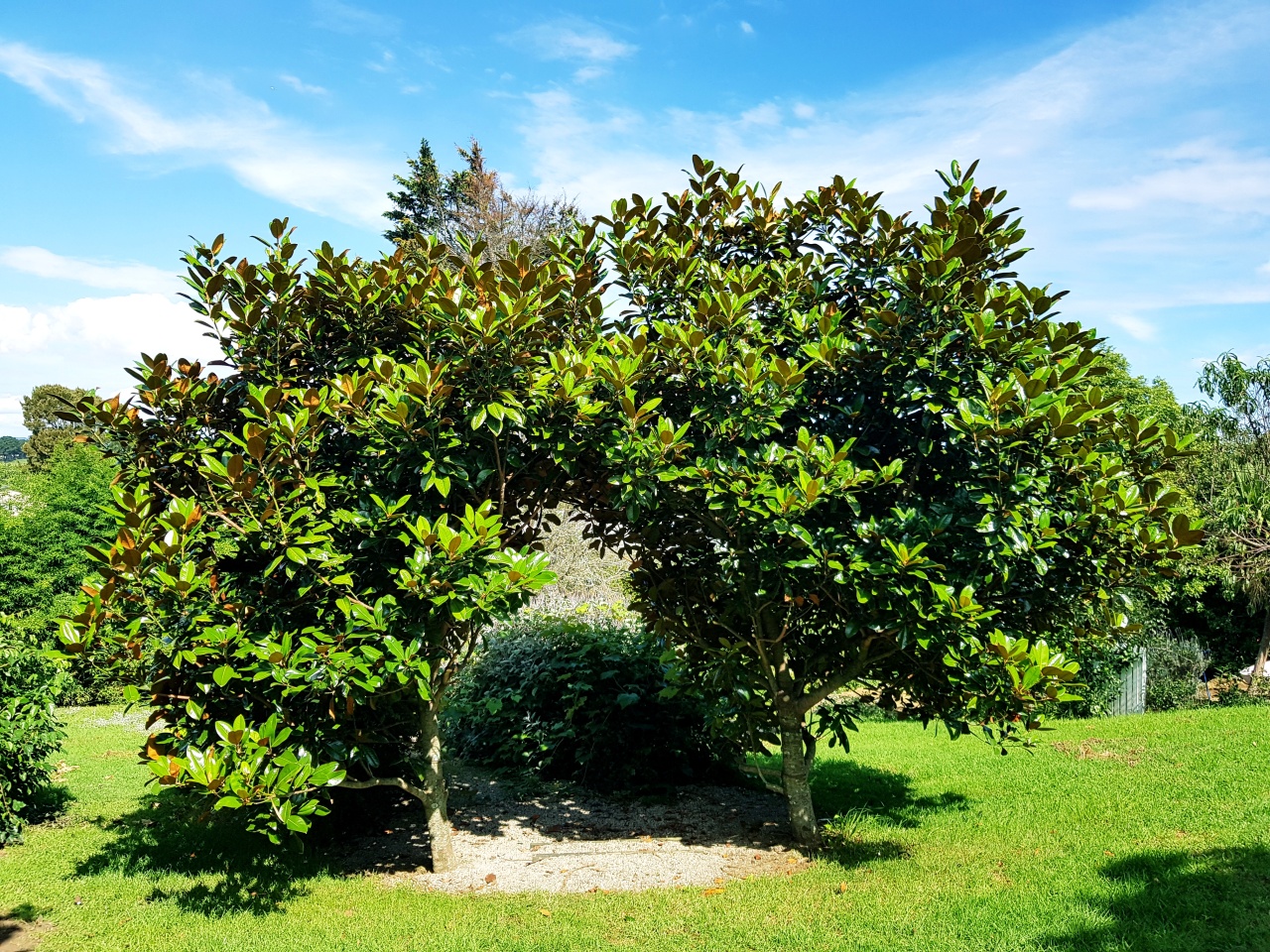 The Roost Executive Bed and Breakfast, Waiuku Photo of The Roost Executive Bed and Breakfast, Waiuku, Waiuku