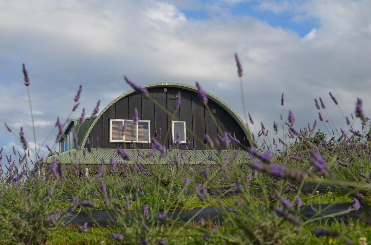 Photo of Lavender Hill, Coatesville