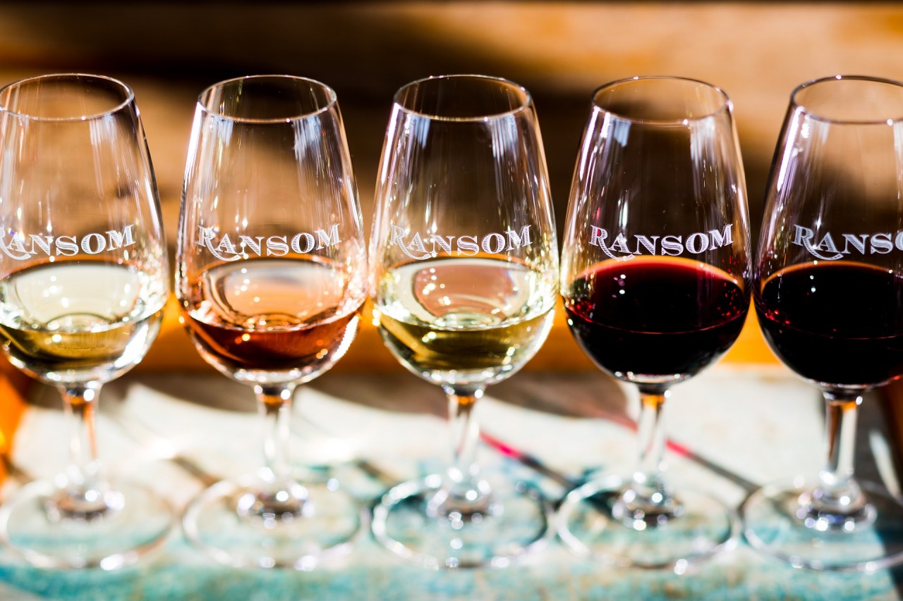 Ransom Wines, Warkworth Photo of Ransom Wines, Warkworth, Warkworth