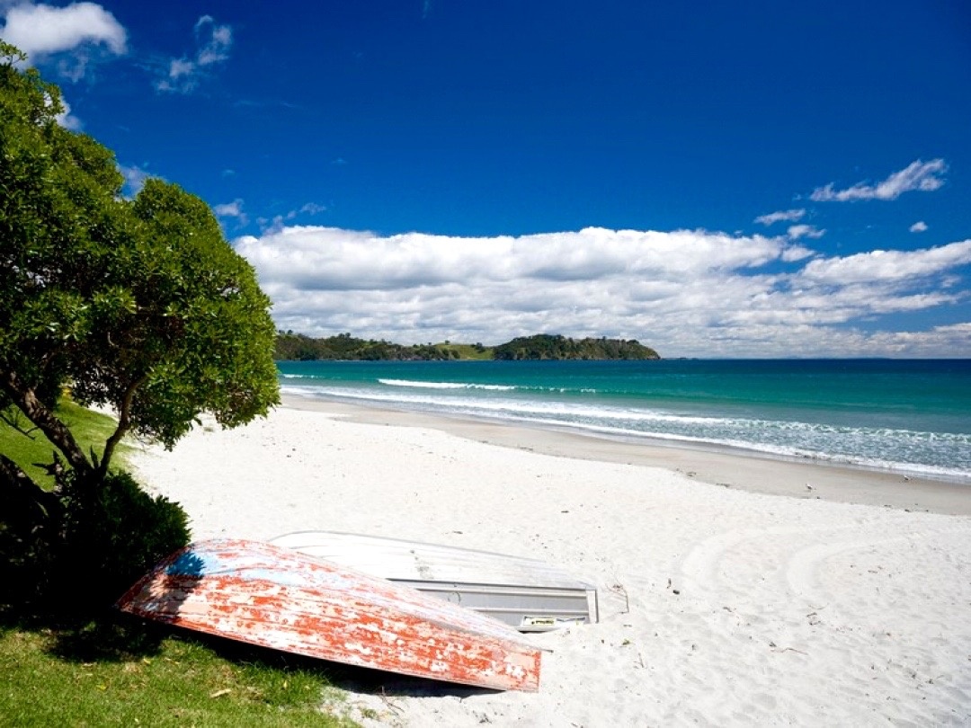 Photo of The Road Trip 8 day privately guided North Island Tour, Papanui