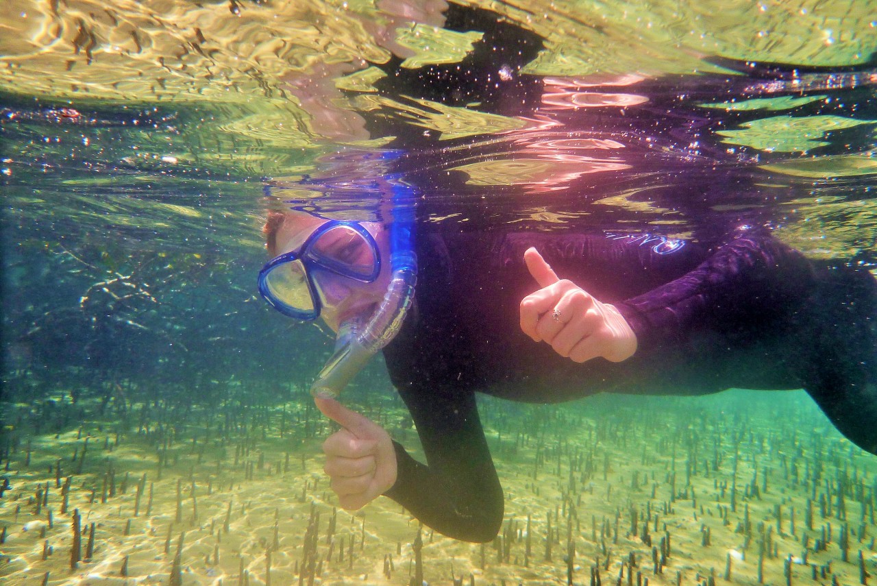 Photo of Saltwater Eco Snorkel School, Tawharanui Peninsula, Tawharanui Peninsula