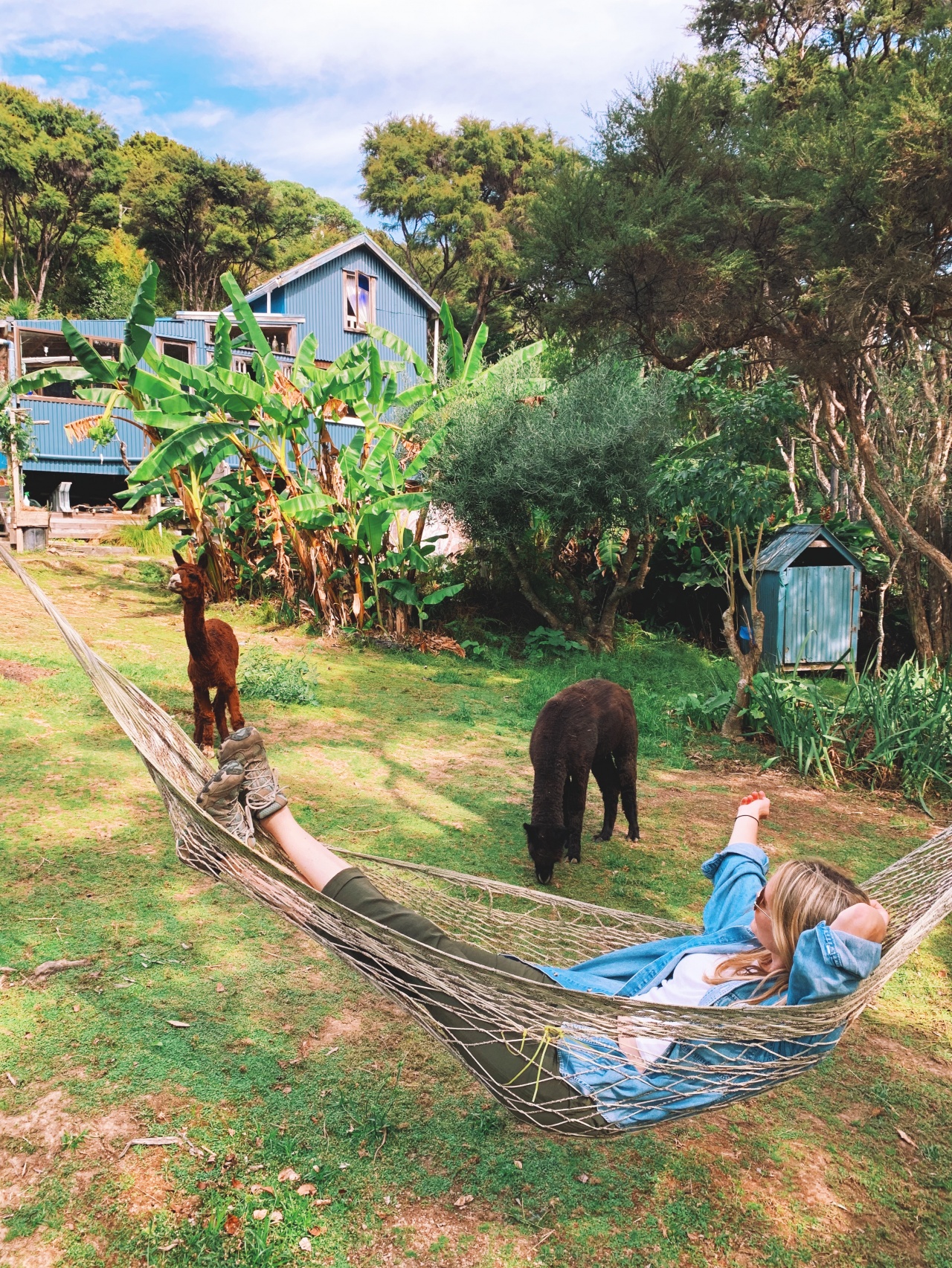 Photo of Waiheke Island Guesthouse, Ostend, Waiheke Island