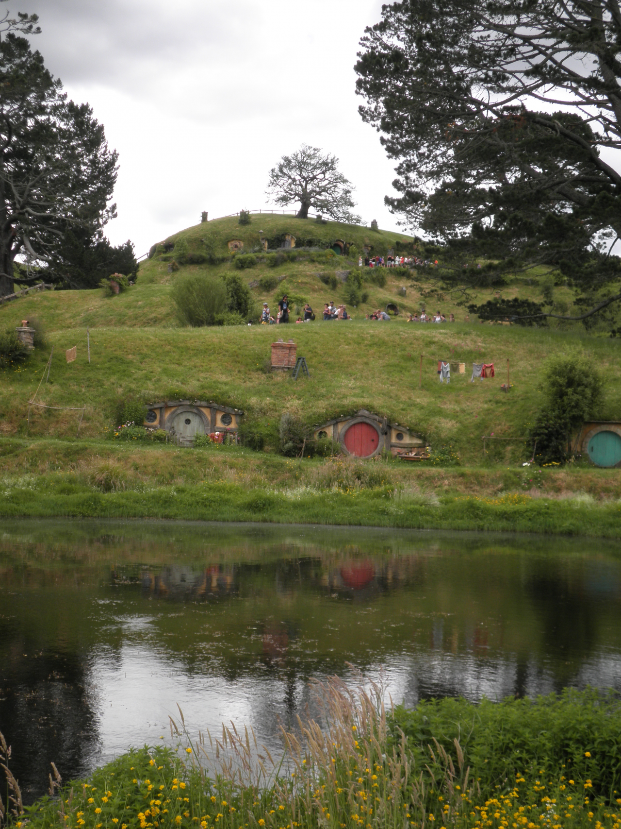 Photo of New Zealand Tours- Hobbiton Day Tours From Auckland, Auckland CBD, Auckland