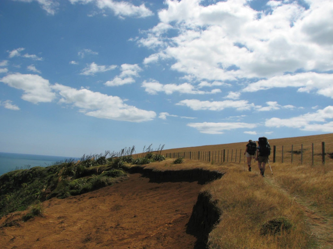 Photo of Whittington Estate - Luxury Hiking B&B, Waiatarua, Waiatarua