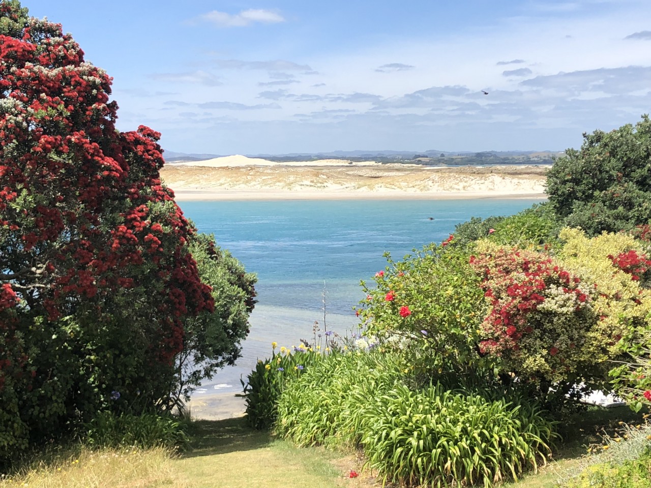 Go North Mini Coach Tours - Day Getaways Photo of Go North Mini Coach Tours - Day Getaways, Moir Street