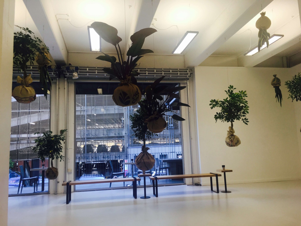 Photo of Caffetteria Allpress, Auckland CBD, Auckland