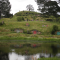 Photo of New Zealand Tours- Hobbiton Day Tours From Auckland, Auckland CBD, Auckland