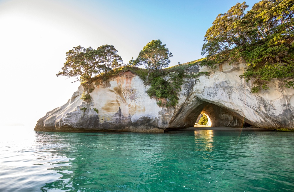 Coromandel day tour