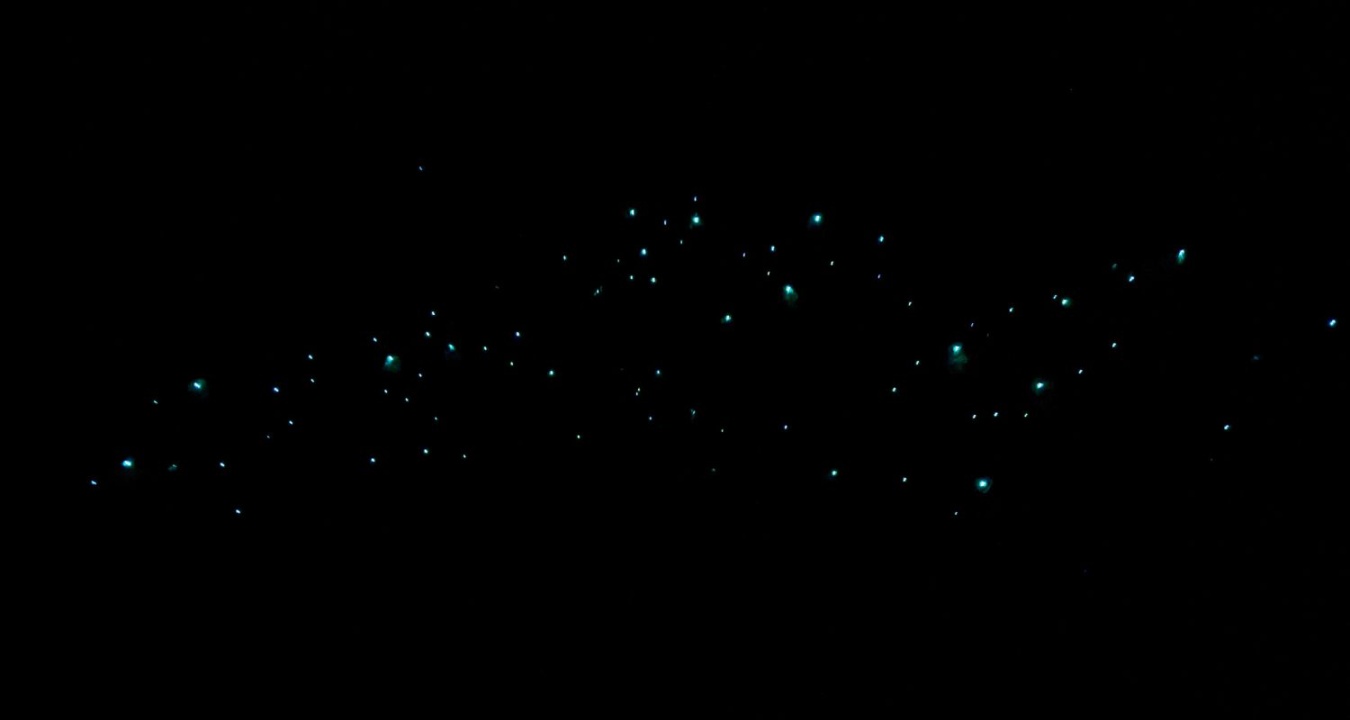 Night sky filled with stars