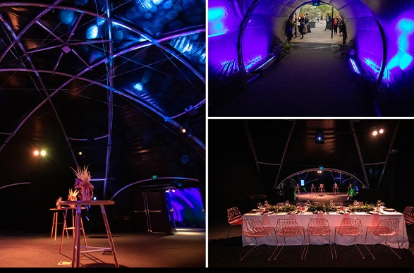 acb_whats_new_may_19_Auckland_Zoo