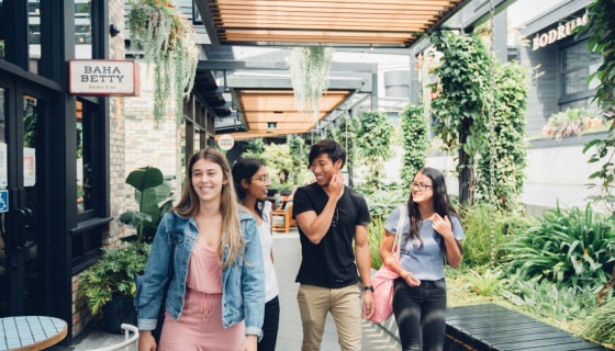 banner image for Auckland Destination Overview August 2024