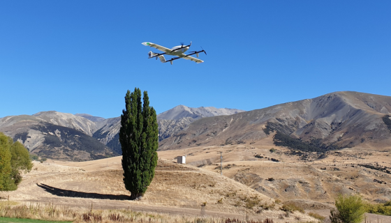 Swoop Kite in flight