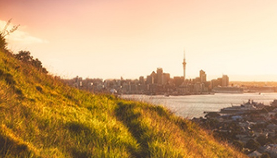 While Auckland is New Zealand’s most productive city, the region needs to increase productivity to prosper. 