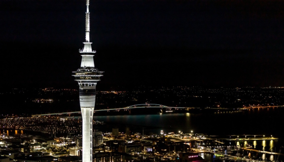 Skytower lit up with Harbour Bridge