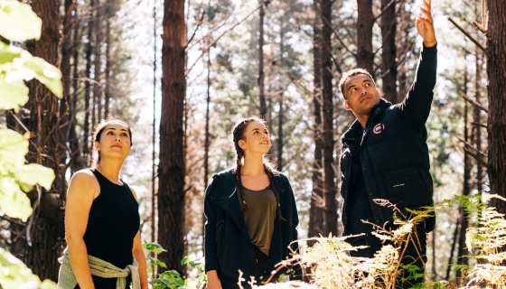 Three people in nature