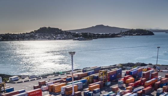 Auckland Economic Insights Globally Auckland