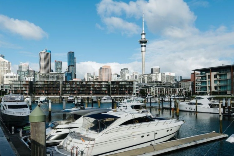 Invest - News - view of Auckland viaduct basin