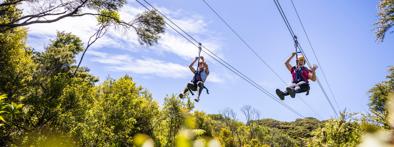 EcoZip Adventures
