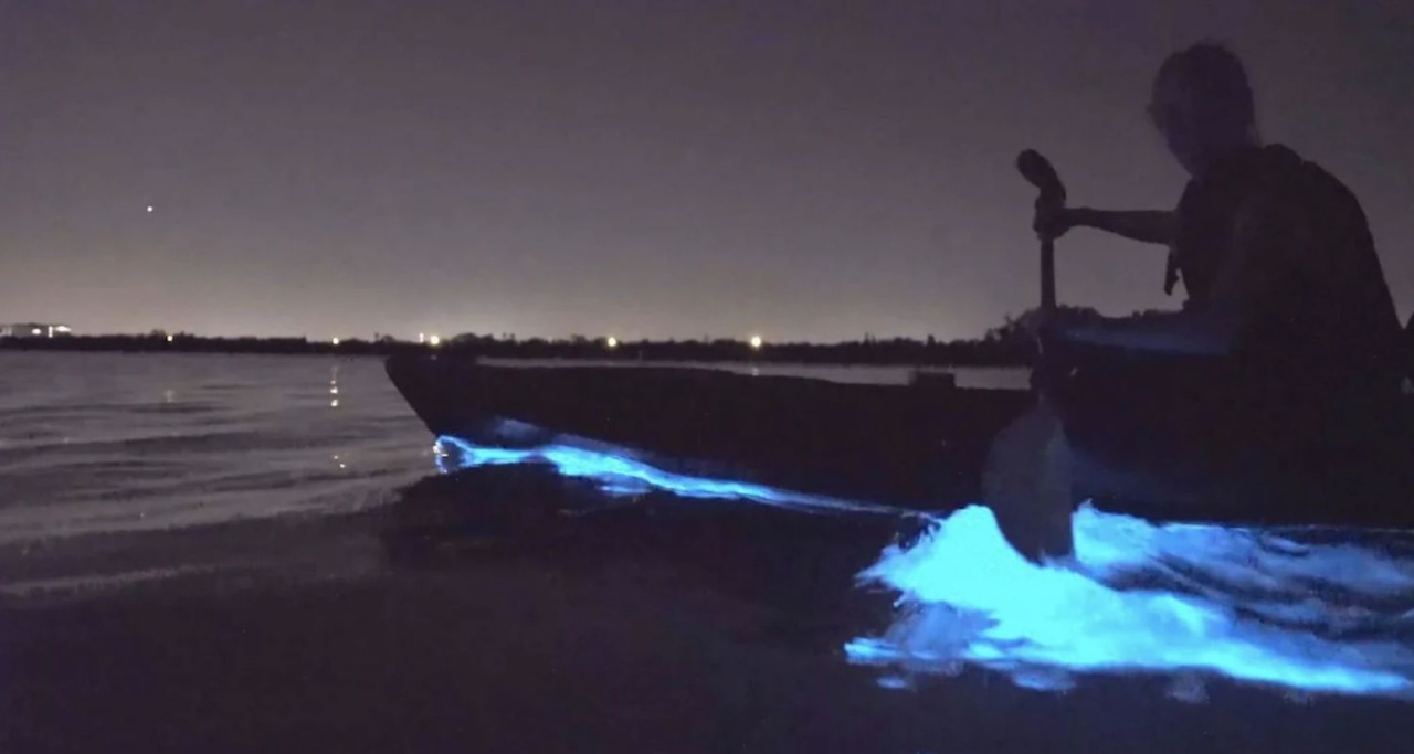 Social Nature Movement - Hero Banner 1 Bioluminescence Kayaking