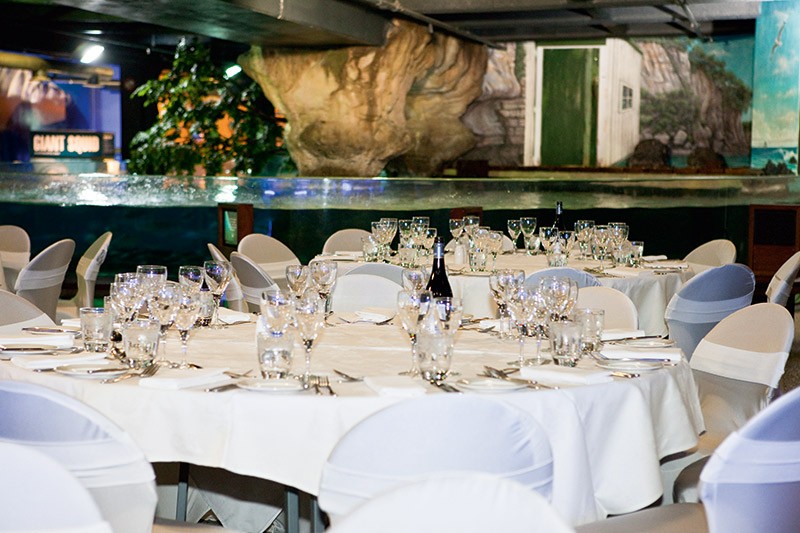 SEA LIFE Kelly Tarltons Auckland Turtle Bay seated SEA LIFE Kelly Tarltons Auckland Turtle Bay seated