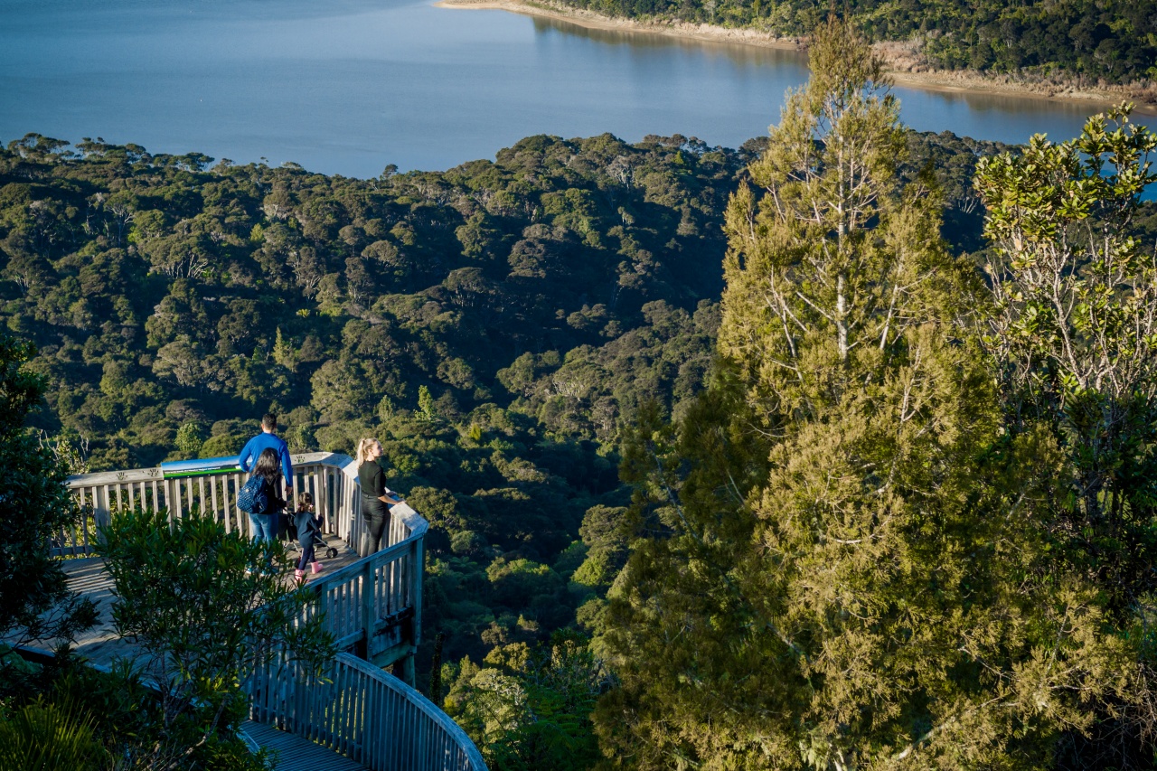 People at a viewpoint looking out to the Waitakere Ranges In Auckland People at a viewpoint looking out to the Waitakere Ranges In Auckland