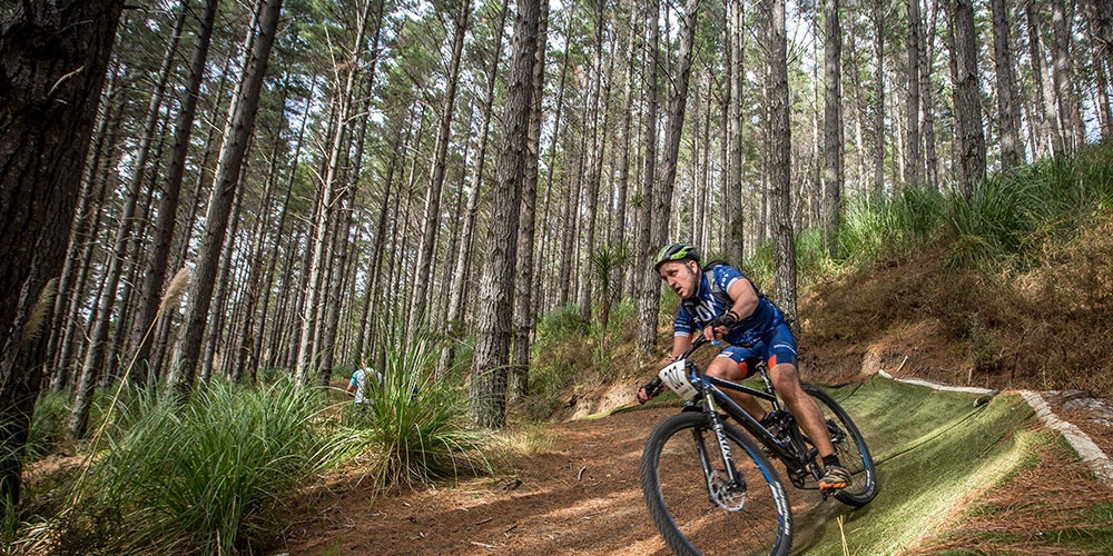 Mountain biker cycling down a trail in Woodhill Forest