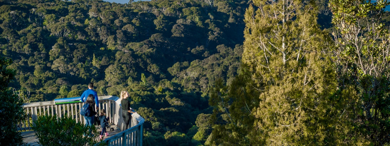 Viewing platform, Arataki Visitor Centre