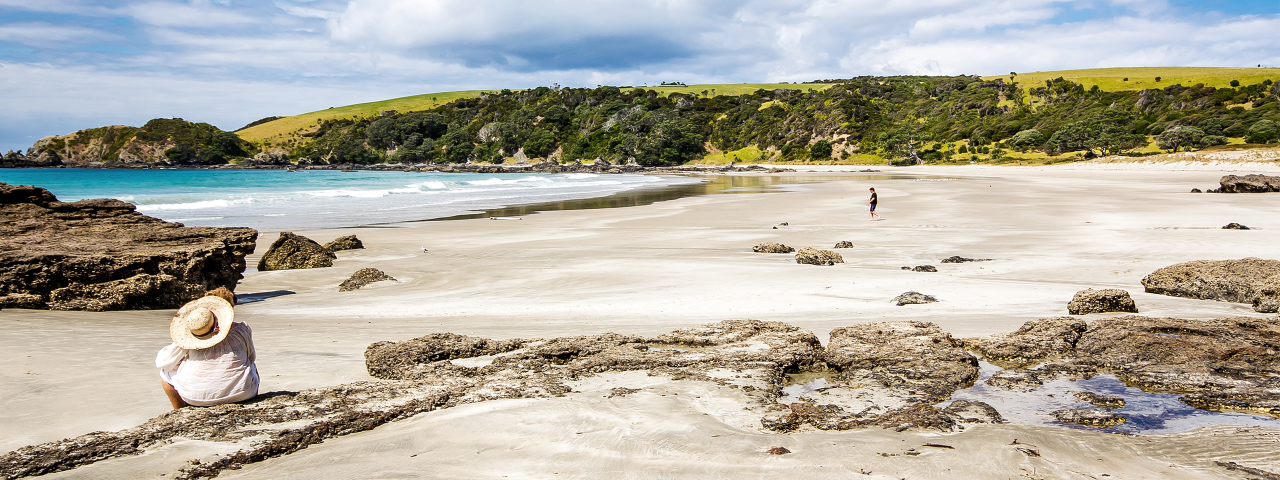 Top 10 North Auckland Top 10 North Auckland